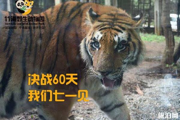 2019年7月1日栾川竹海野生动物园开园