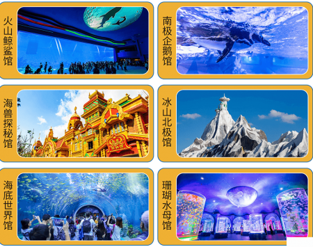 上海海昌极地海洋公园游玩指南