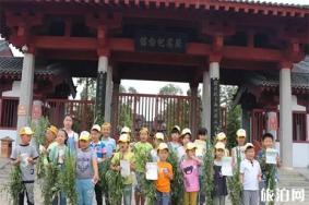 2019白云山端午节活动信息
