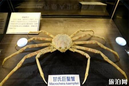 螃蟹博物馆在哪里