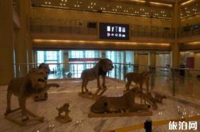 2019年6月济南博物馆免费展览汇总