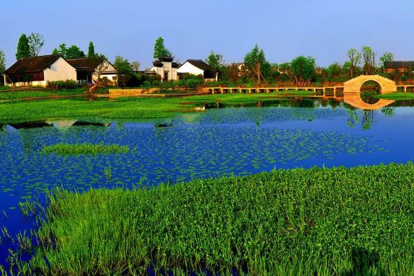 杭州西溪湿地公园图片 实拍实景