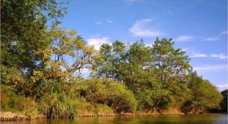 杭州西溪湿地公园图片 实拍实景