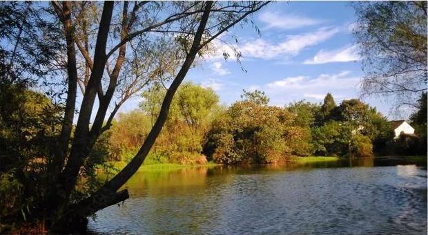 杭州西溪湿地公园图片 实拍实景