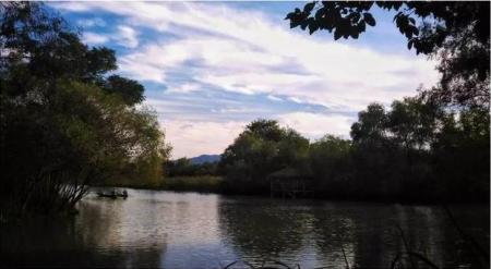杭州西溪湿地公园图片 实拍实景
