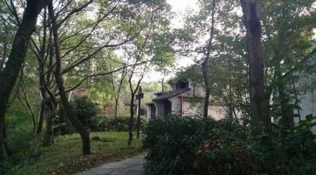 杭州西溪湿地公园图片 实拍实景