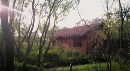 杭州西溪湿地公园图片 实拍实景
