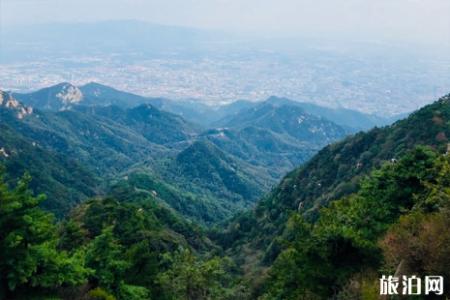 去泰山看日出住哪里比较好