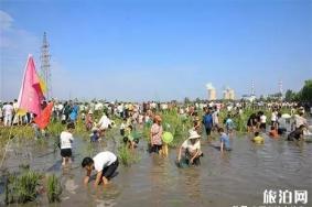 2019河南信阳摸鱼节6月1日开启