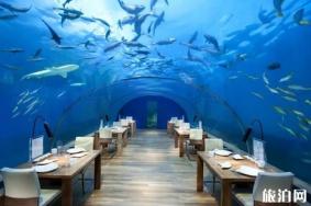马尔代夫海底餐厅推荐