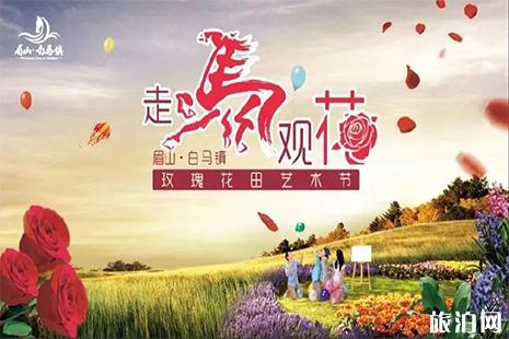 2019眉山白马玫瑰花田艺术节6月1日开启 附活动信息