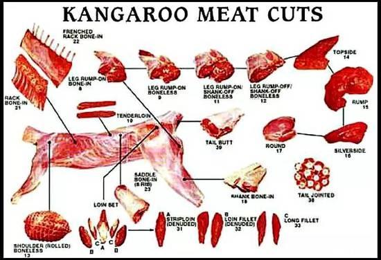 澳大利亚可以吃袋鼠吗 吃袋鼠肉违法吗