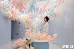 2019武汉网红展 未来花园之时间的礼物