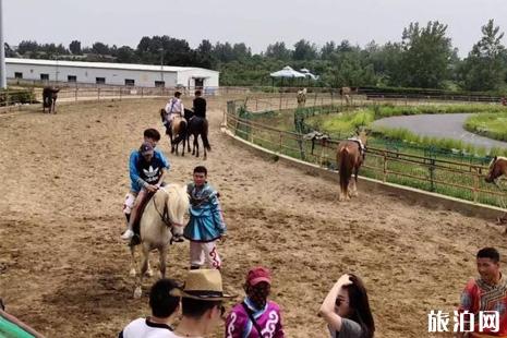 2019中国（合肥）非物质文化遗产园高考生旅游优惠吗+游玩攻略