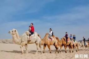 2019高考生旅游优惠宁夏黄沙古渡景区门票优惠信息+游玩攻略