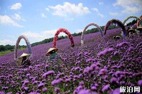 成都普罗旺斯薰衣草庄园在哪里 附门票信息