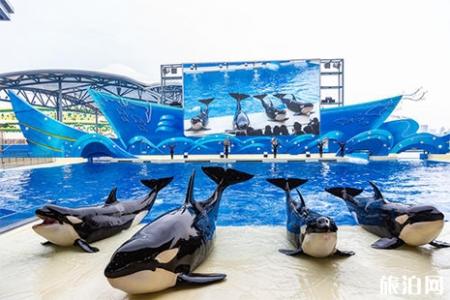 2019上海海昌海洋公园中高考生优惠信息汇总