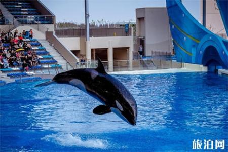 2019上海海昌海洋公园中高考生优惠信息汇总
