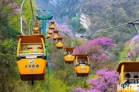 2019西安高考生旅游优惠政策