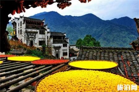2019中高考准考证婺源篁岭景区优惠信息
