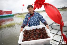 2019盱眙国际龙虾节门票+时间+地点+节目单+交通管制