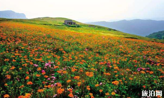 2019山西晋城凭高考准考证哪些景点优惠（时间+优惠景点）