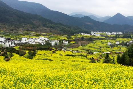 2019婺源江岭景区门票价格+注意事项