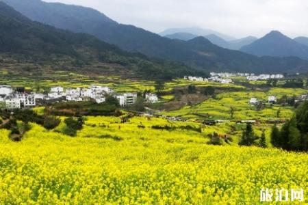 2019婺源江岭景区门票价格+注意事项
