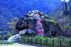 神农架和武功山哪个更好玩