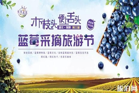 2019保康佰蒂蓝莓节6月15日开启 附采摘费用