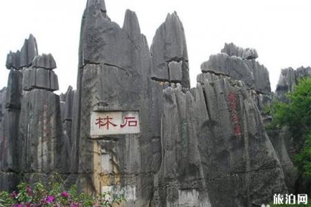 2019高考准考证石林风景区免票游玩信息