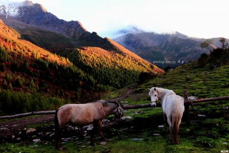 2019四姑娘山门票价格+优惠政策+最佳旅游时间