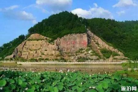 黄山看荷花去哪里