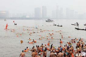 横渡钱塘江2019报名时间+比赛时间+报名指南