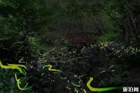 日本萤火虫的象征意义 日本大阪萤火虫观看地点推荐