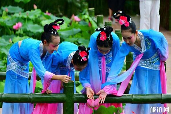 2019广州番禺莲花文化旅游节持续到8月31日 附活动内容