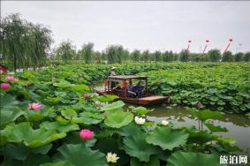2019南通乡村旅游节6月22日开启 附活动时间安排