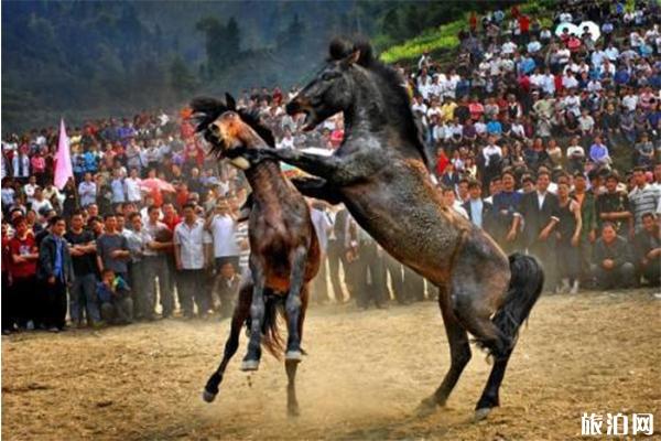 2019南昌首届大型非遗斗马旅游文化节6月28日开启