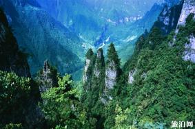 2019中高考生旅游优惠政策柴埠溪大峡谷门票优惠信息+旅游攻略
