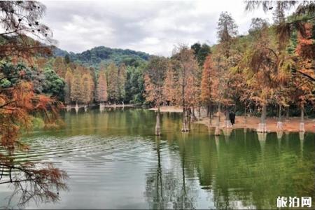 广州白云山风景区介绍 五元门票畅游一天
