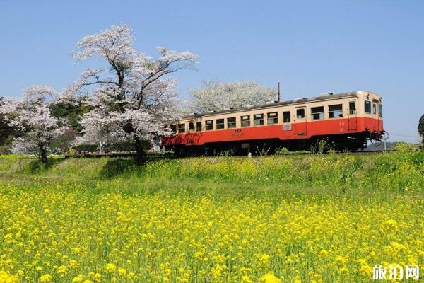 暑期学生火车票有优惠吗 2019暑期学生火车票发售时间+购票攻略