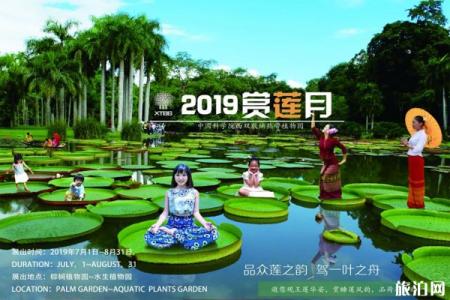 2019西双版纳热带植物园赏莲月活动攻略
