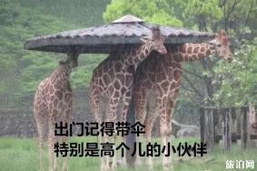 武汉6月28天气情况 最近三天有大雨吗