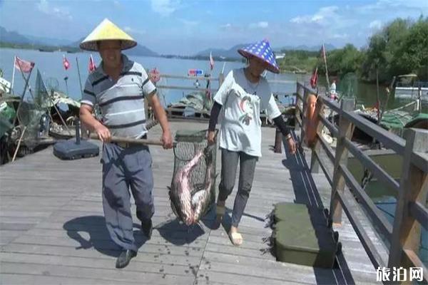 2019富春江开渔节7月1日开启