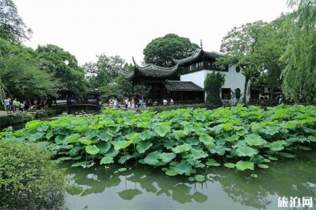 2019拙政园荷花节6月28日开启 附活动攻略