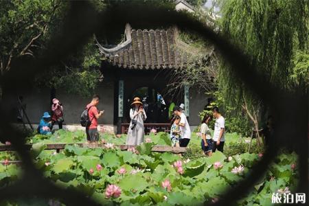 2019拙政园荷花节6月28日开启 附活动攻略