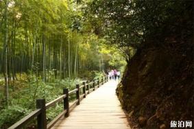 2019栾川竹海野生动物园6月30日开园