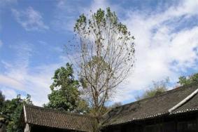 重庆红岩联线景区预约攻略 渣滓洞+白公馆