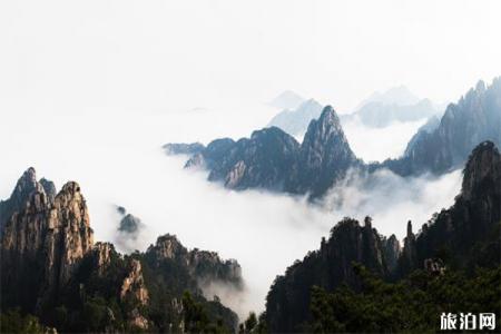 2019黄山市暑假优惠政策 中高考准考证+教师资格证+亲子游