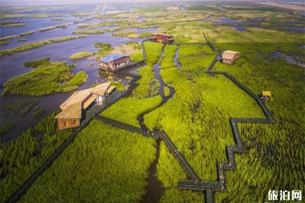 2019东滩湿地公园露营节持续至9月22日